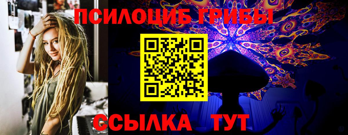 Псилоцибиновые грибы мицелий  Вход с VPN  Сатка 