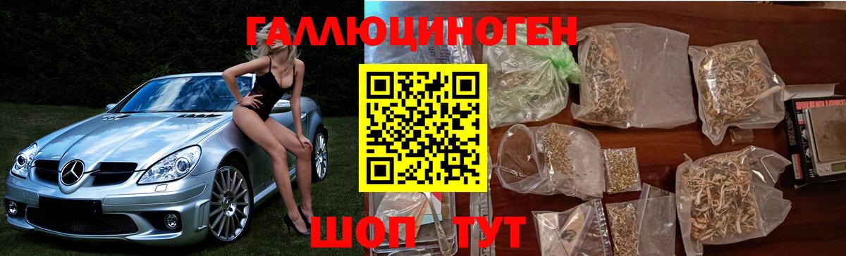 Галлюциногенные грибы прущие грибы Сатка