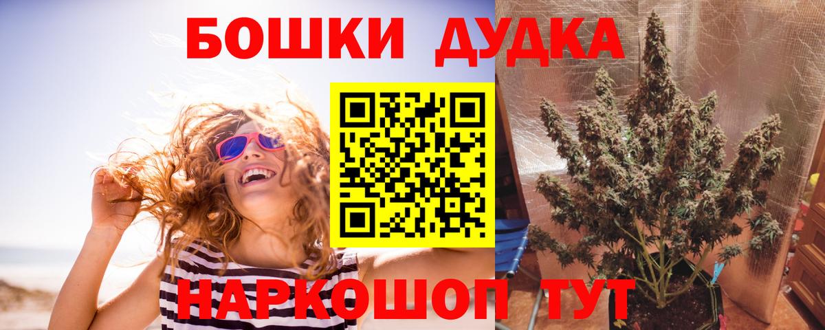 Конопля сатива Сатка